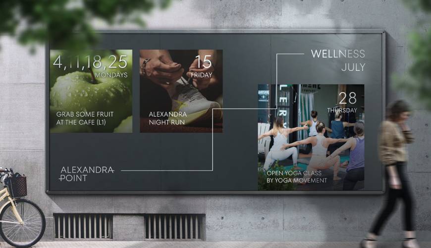 罗庄区画册设计公司如何进行品牌审核