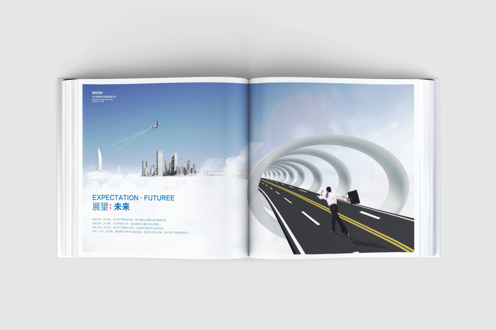 罗庄区画册设计